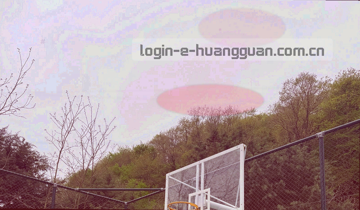 七个栏目本季更新数量的金色条形分布示意，条形长度表示入库条目多少